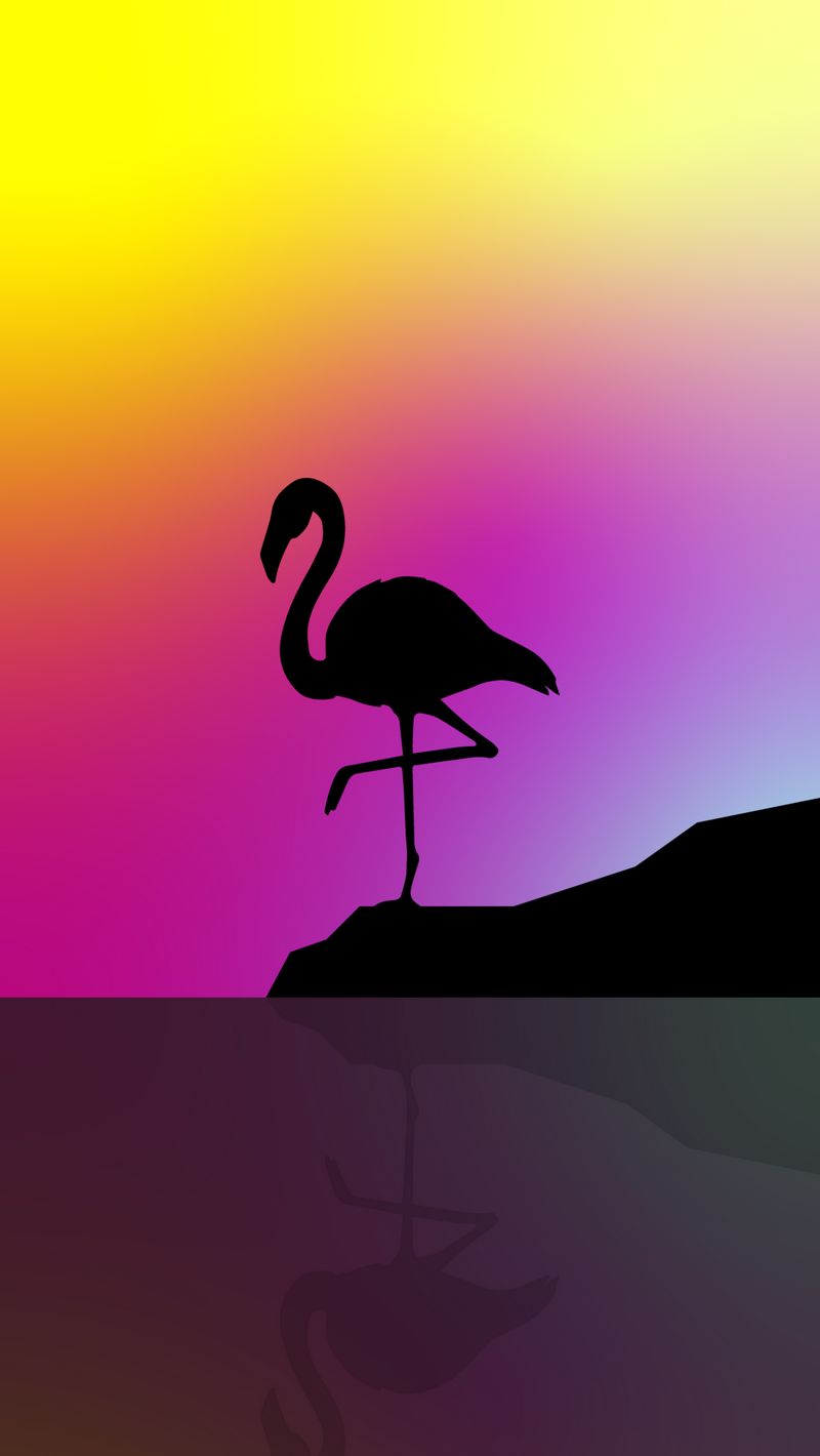 Download wallpaper 800x1420 flamingo