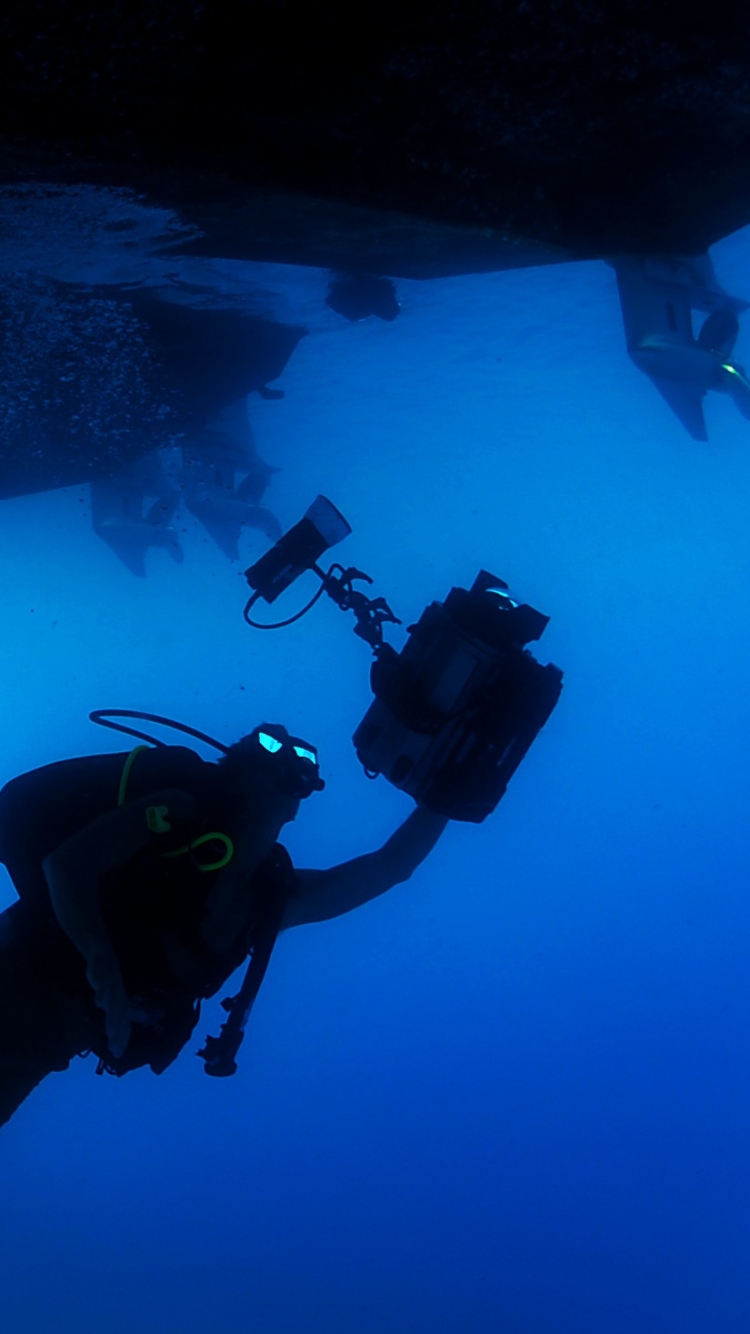 Download Scuba Diver Underwater Ocean