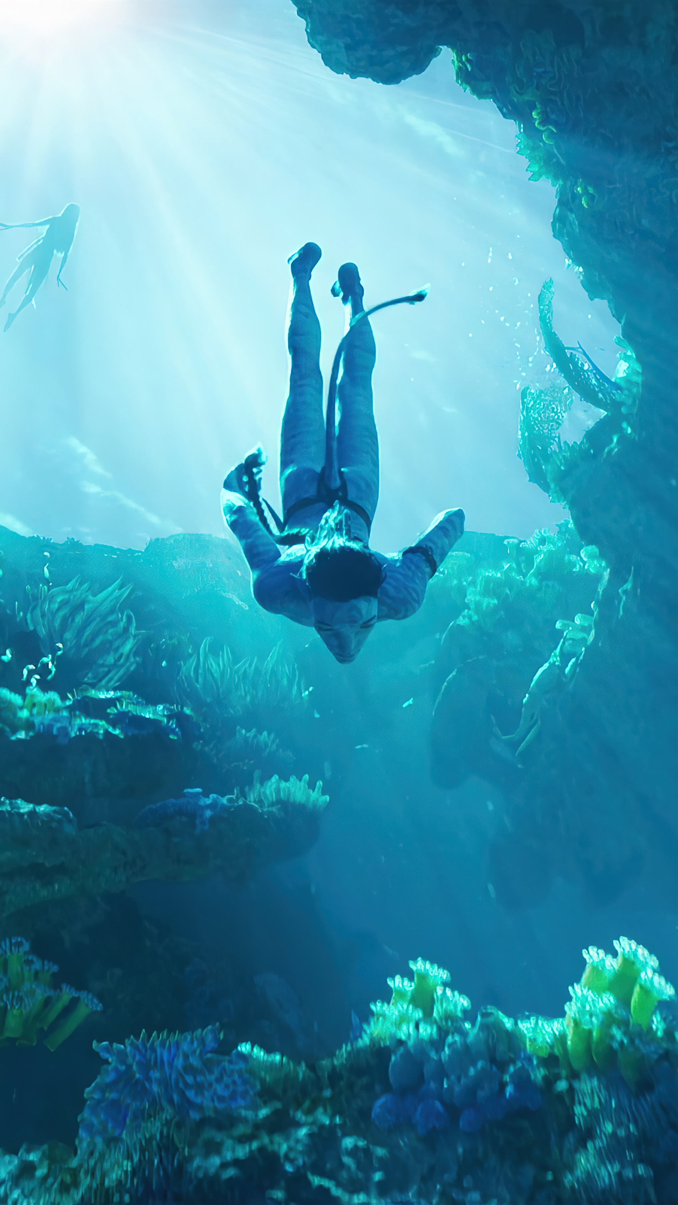 Water Underwater 4K Wallpaper iPhone HD