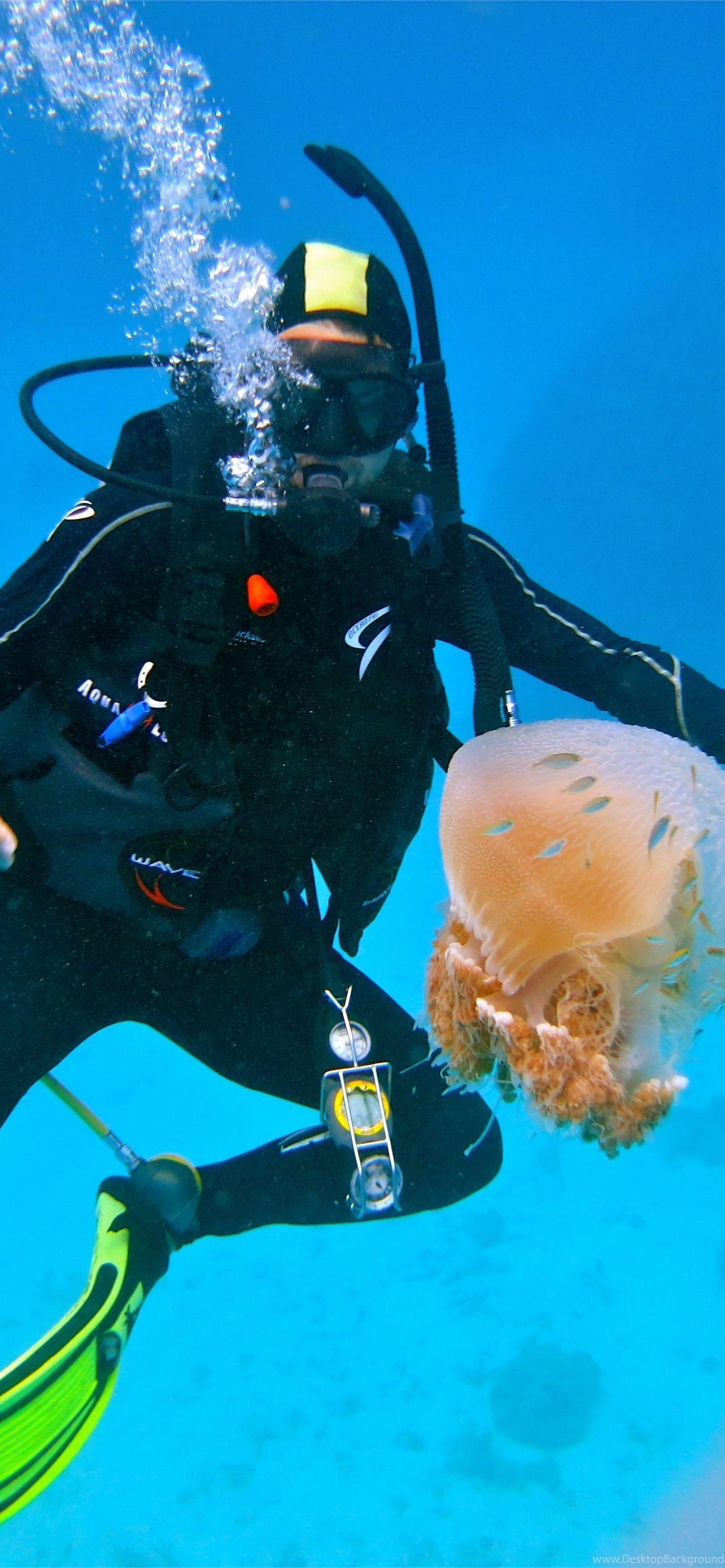 Best Diving iPhone HD Wallpaper