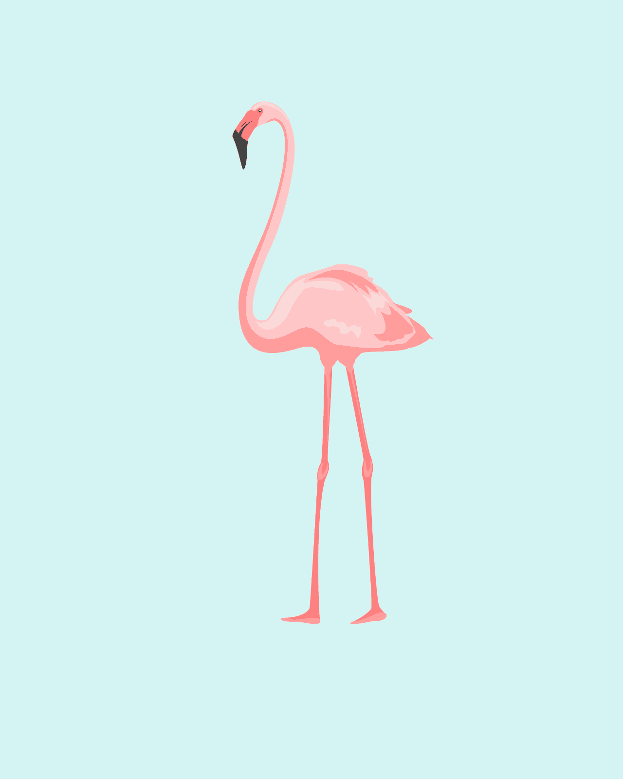 flamingo Archives