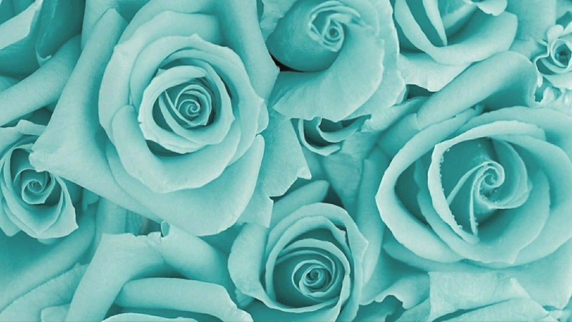 Teal Aesthetic Laptop Wallpaper