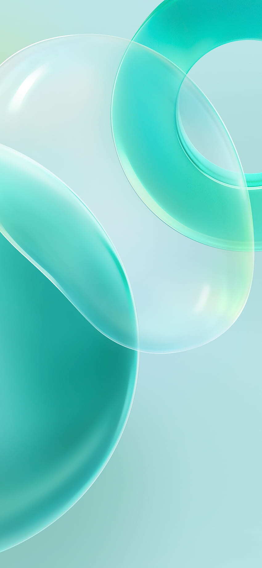 White Background Teal Wallpaper