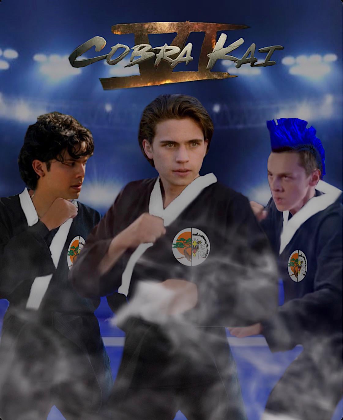 concept poster for Cobra Kai Season 6
