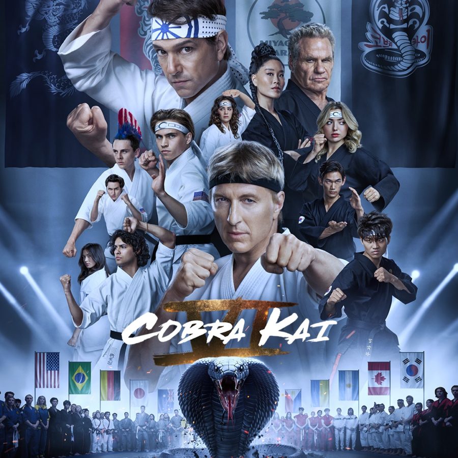 Cobra Kai Season 6 Part 2 Key Art: It's