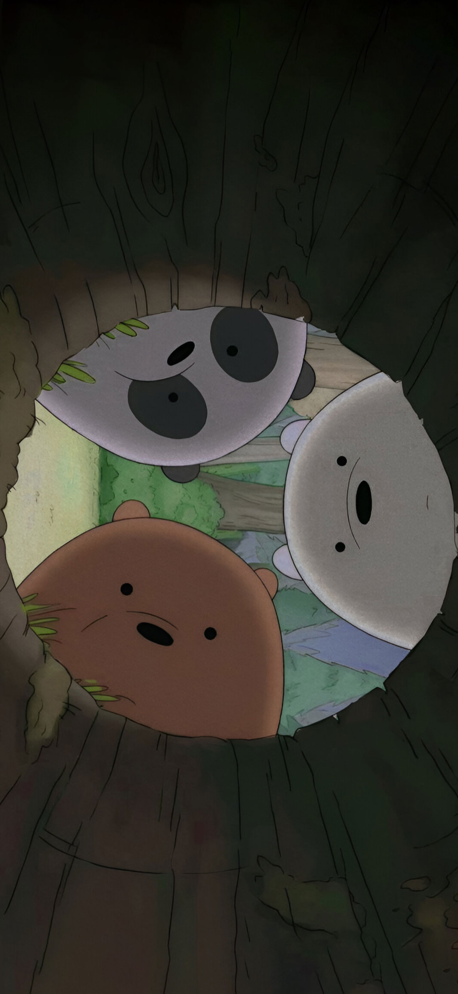 We Bare Bears Curious Wallpaper