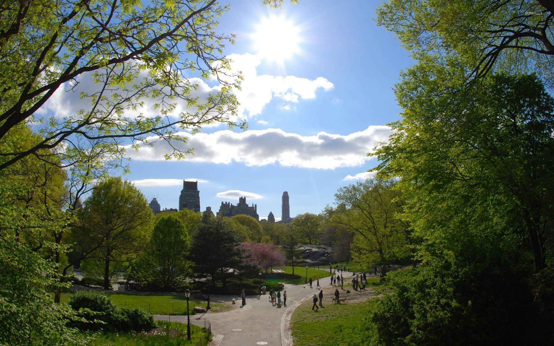 Central Park in Manhattan wallpaper