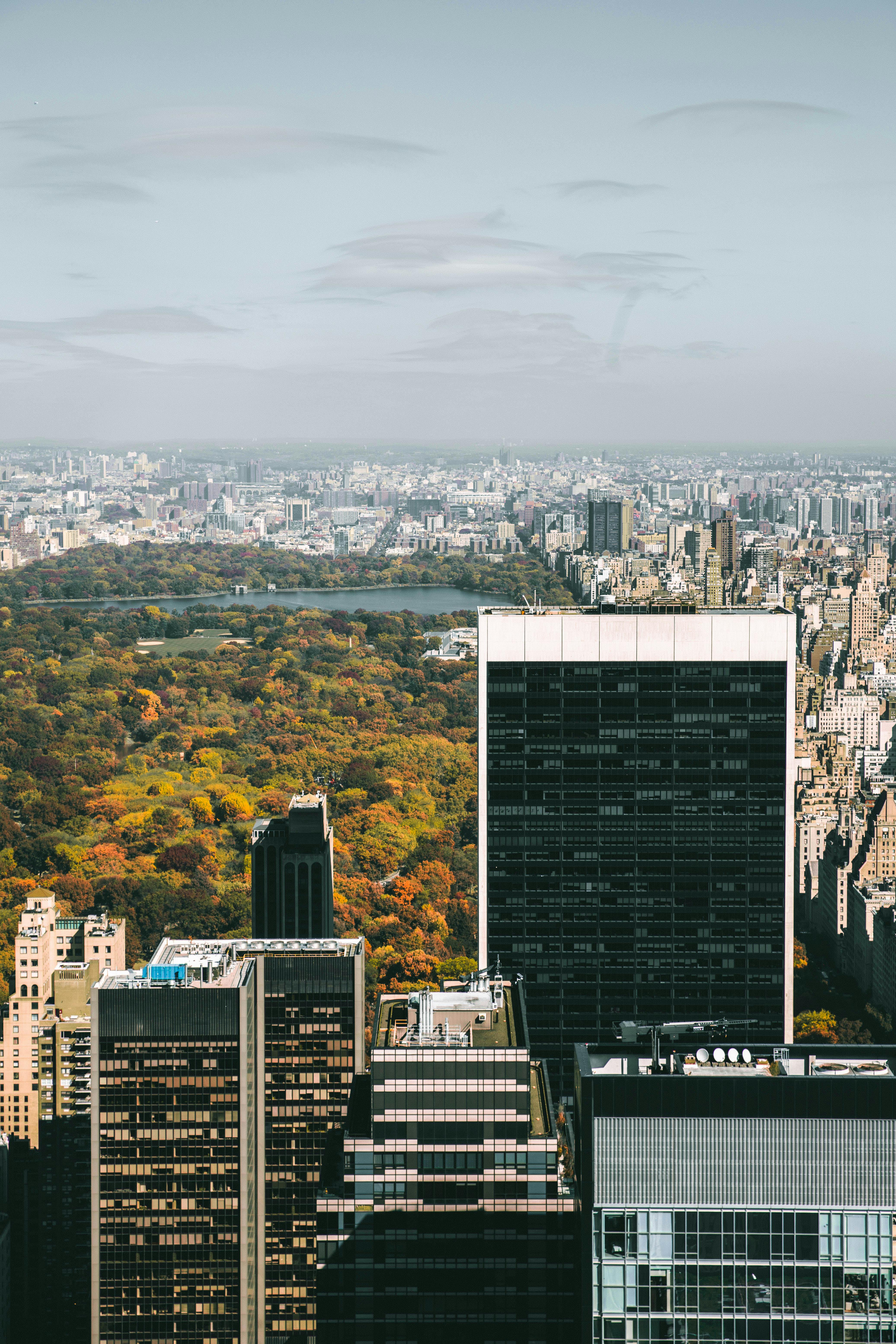 Central Park New York Photo, Download
