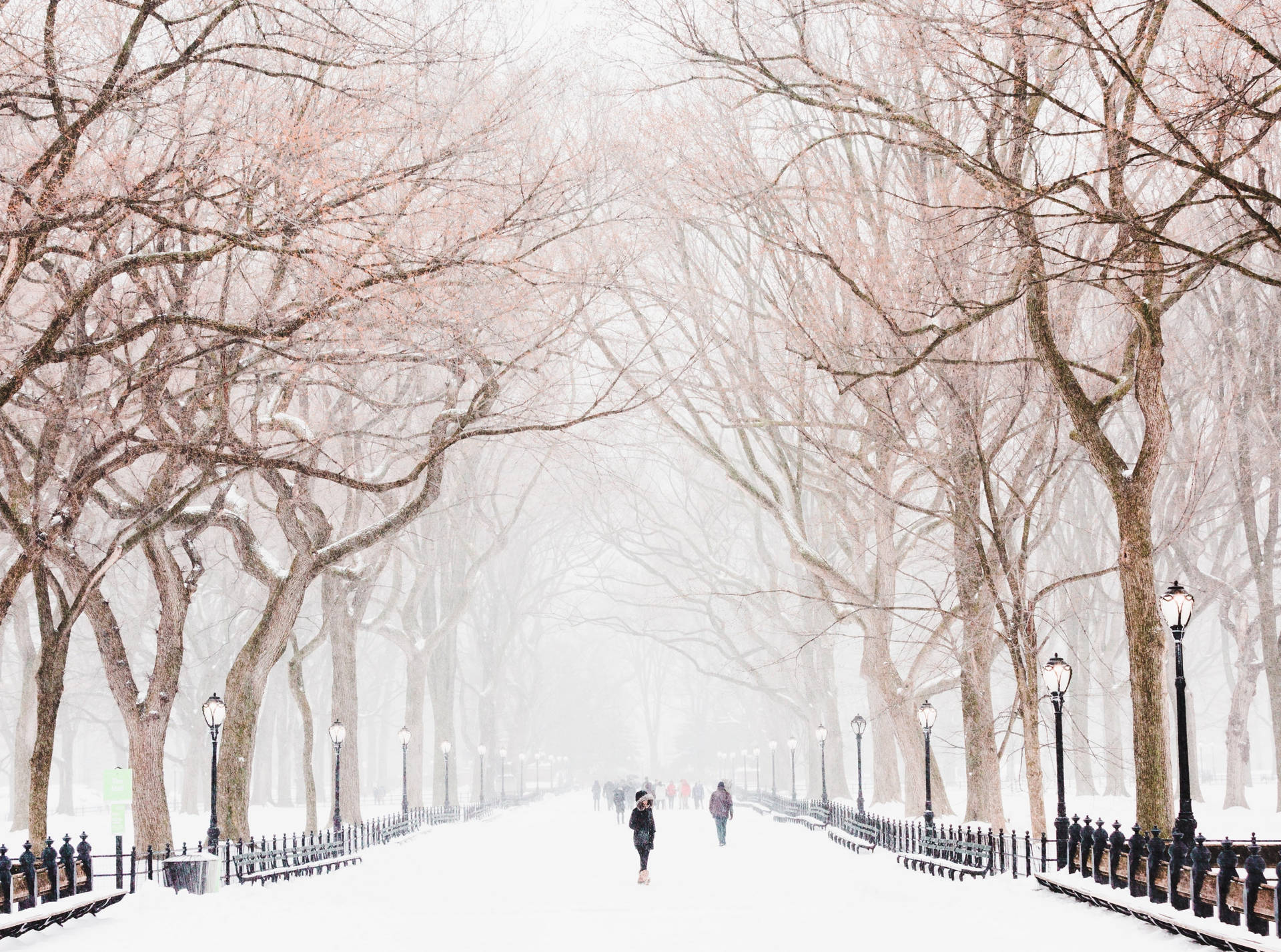 Download Winter Central Park New York