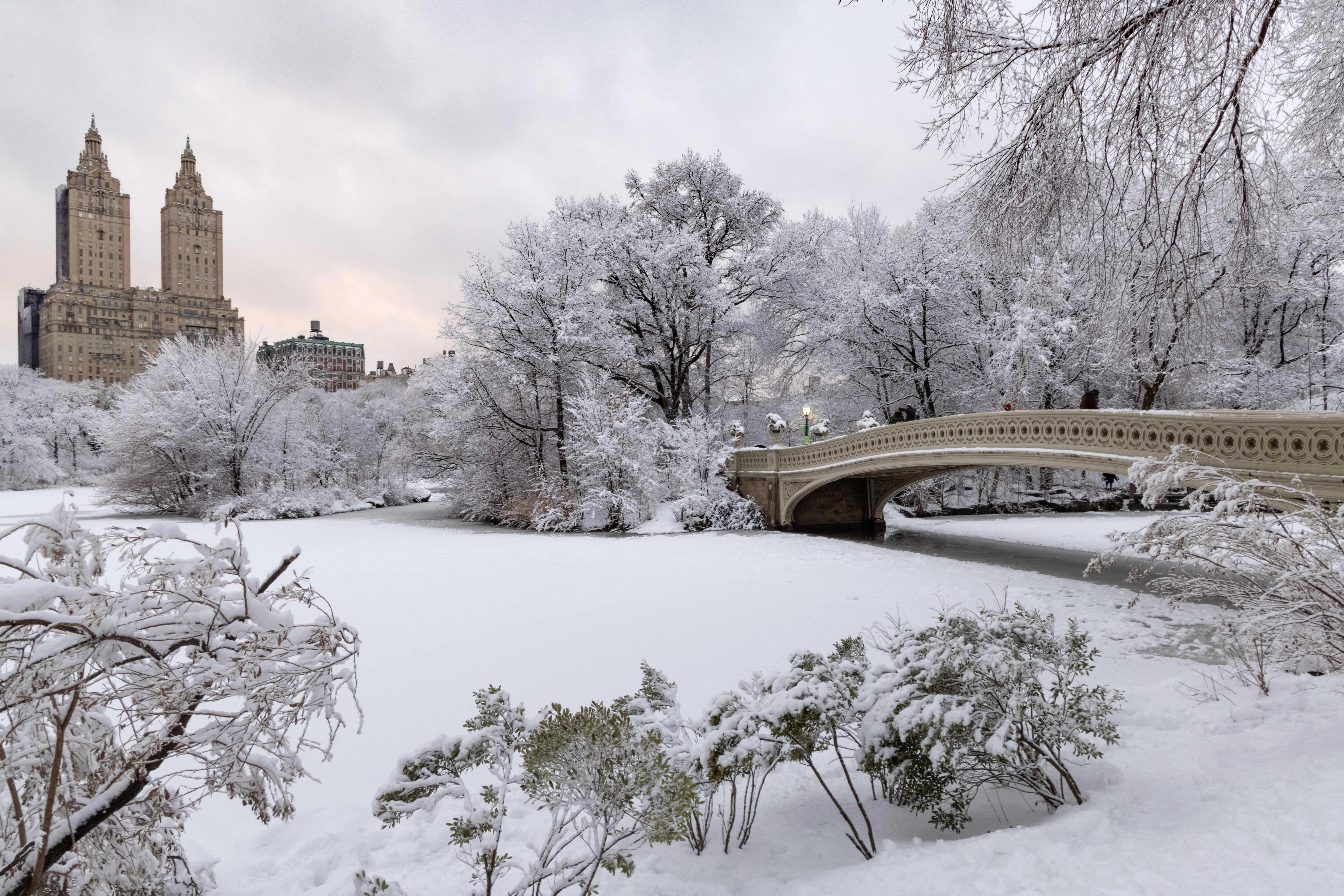 New York City Central Park Photo