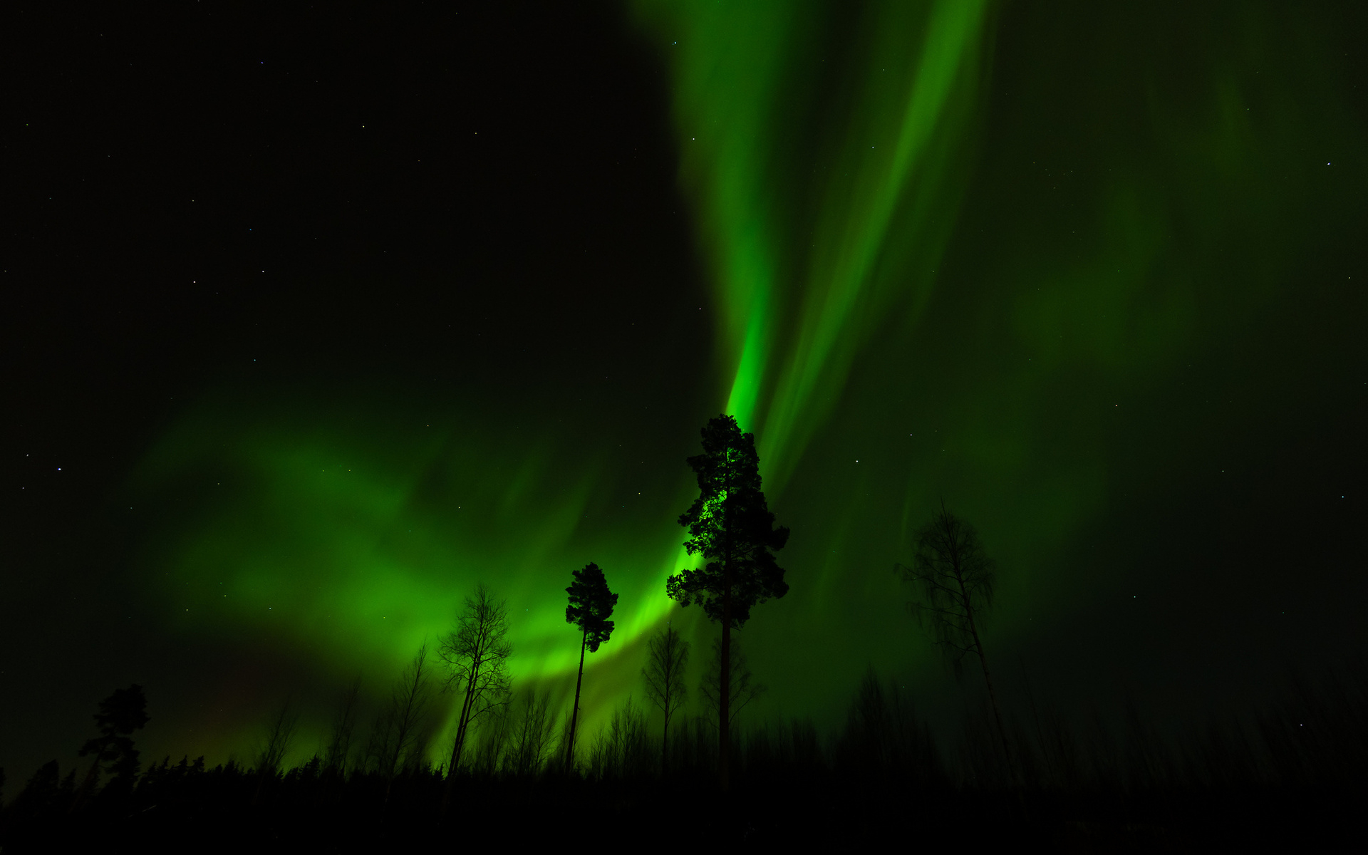 Aurora Borealis Wallpaper