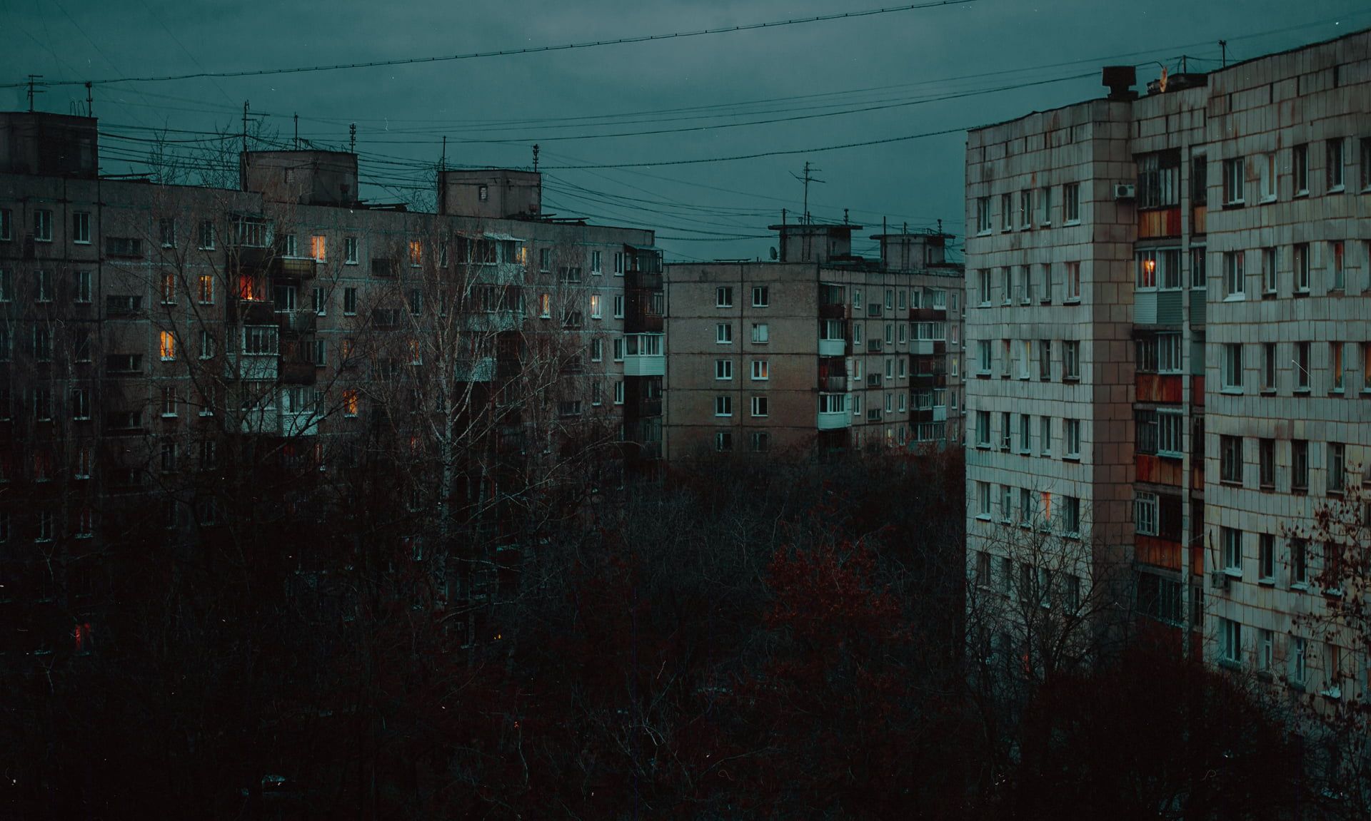 Russia, faded, grey, gloomy, trees, fall