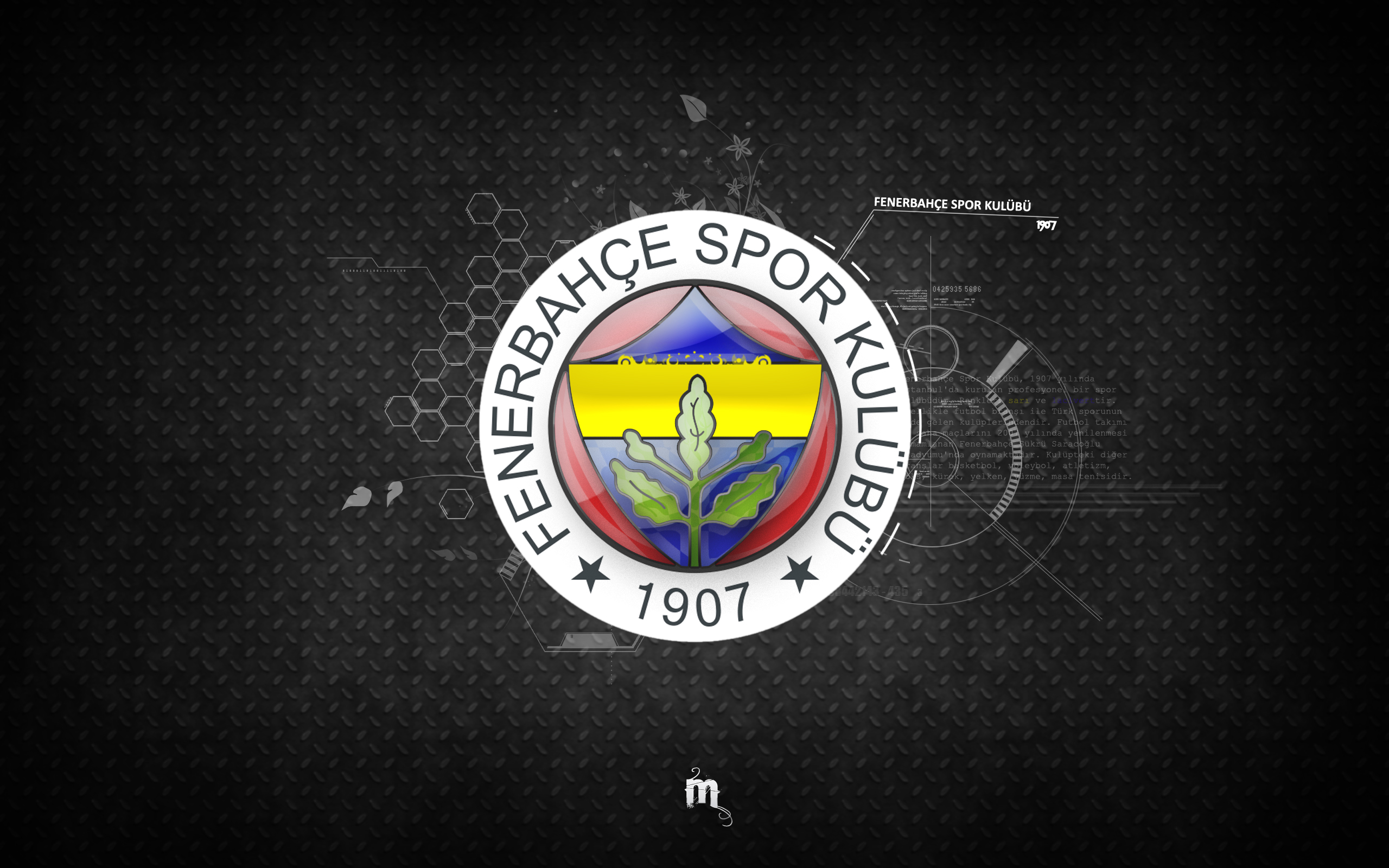 Download Soccer Emblem Logo Fenerbahçe