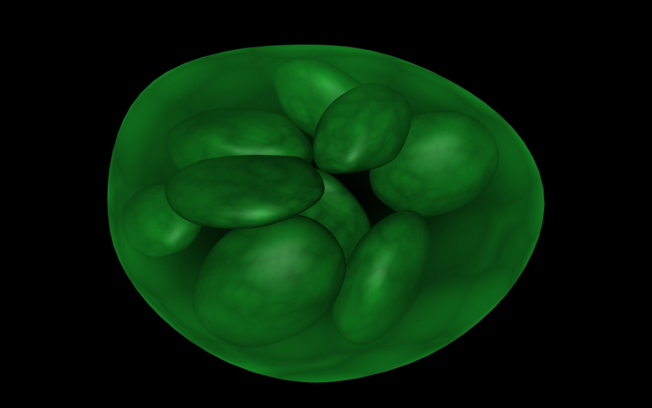 Conceptual image of chloroplast Poster