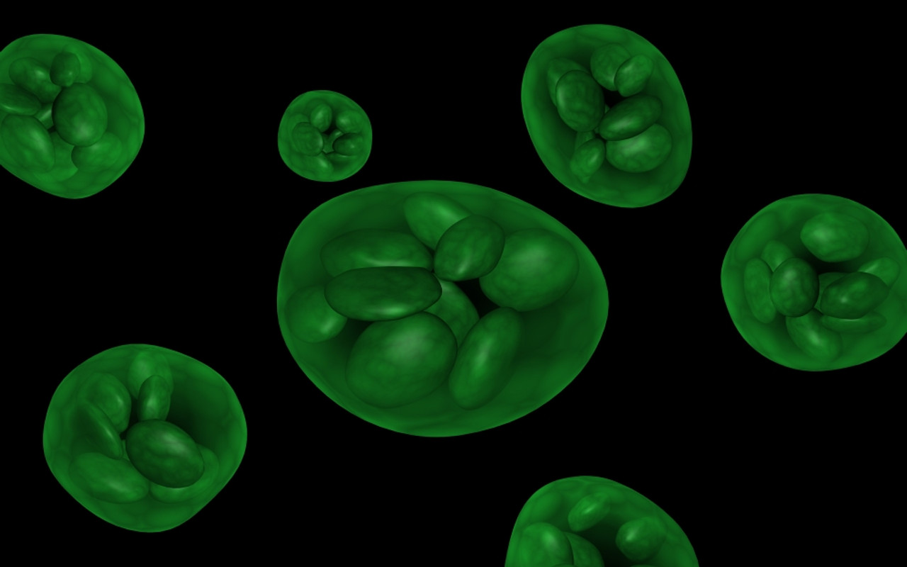 Conceptual image of chloroplast Poster