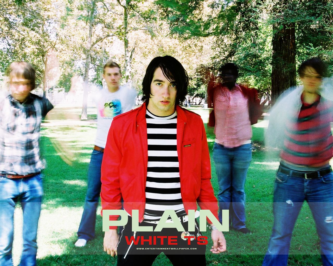 Plain White T's Wallpaper