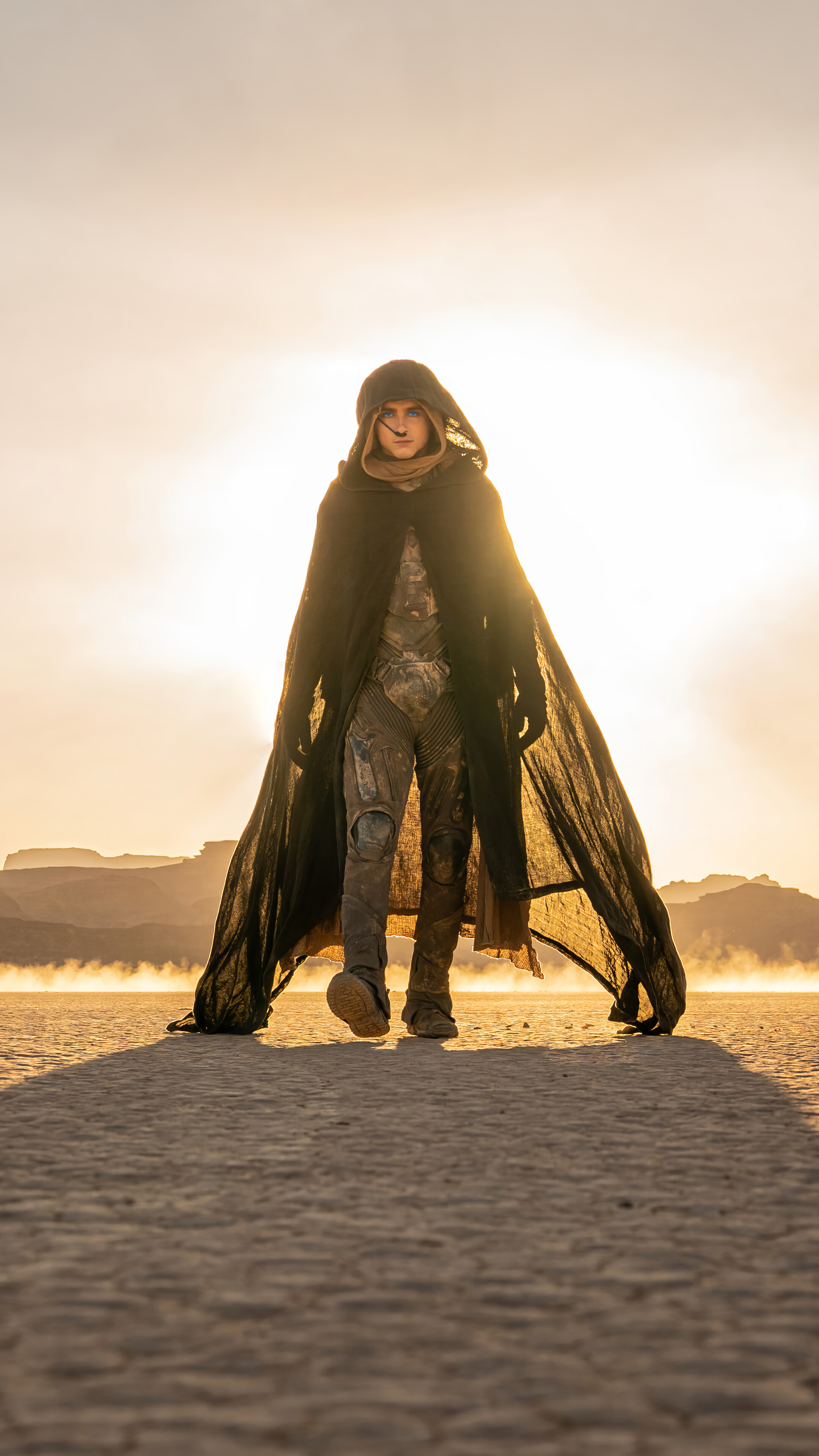 Part 2 Paul Atreides Timothee Chalamet