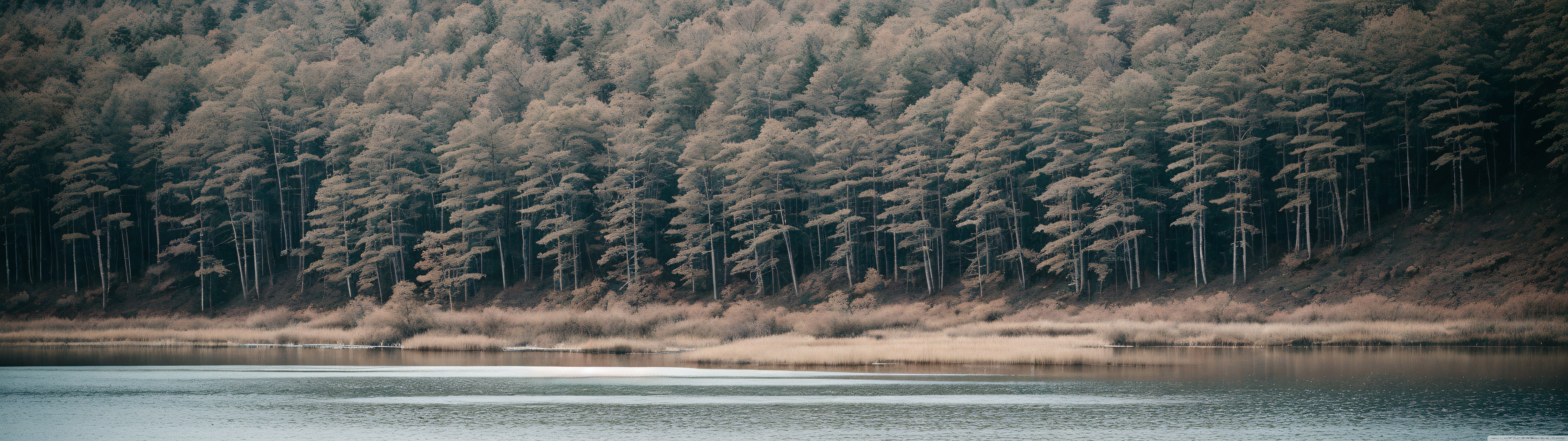 Peaceful Place Ultra HD Wallpaper