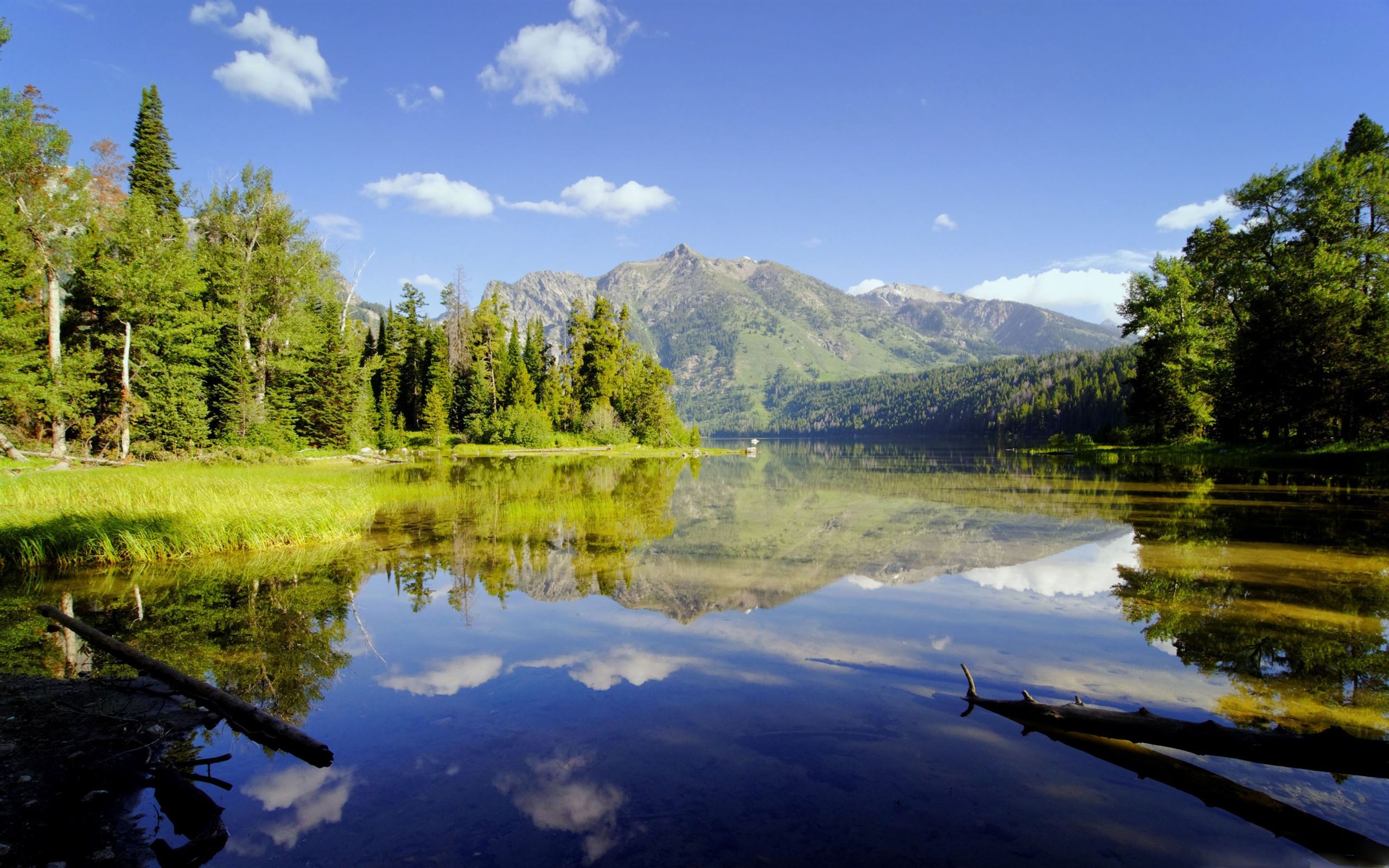 Wild Nature MacBook Air Wallpaper