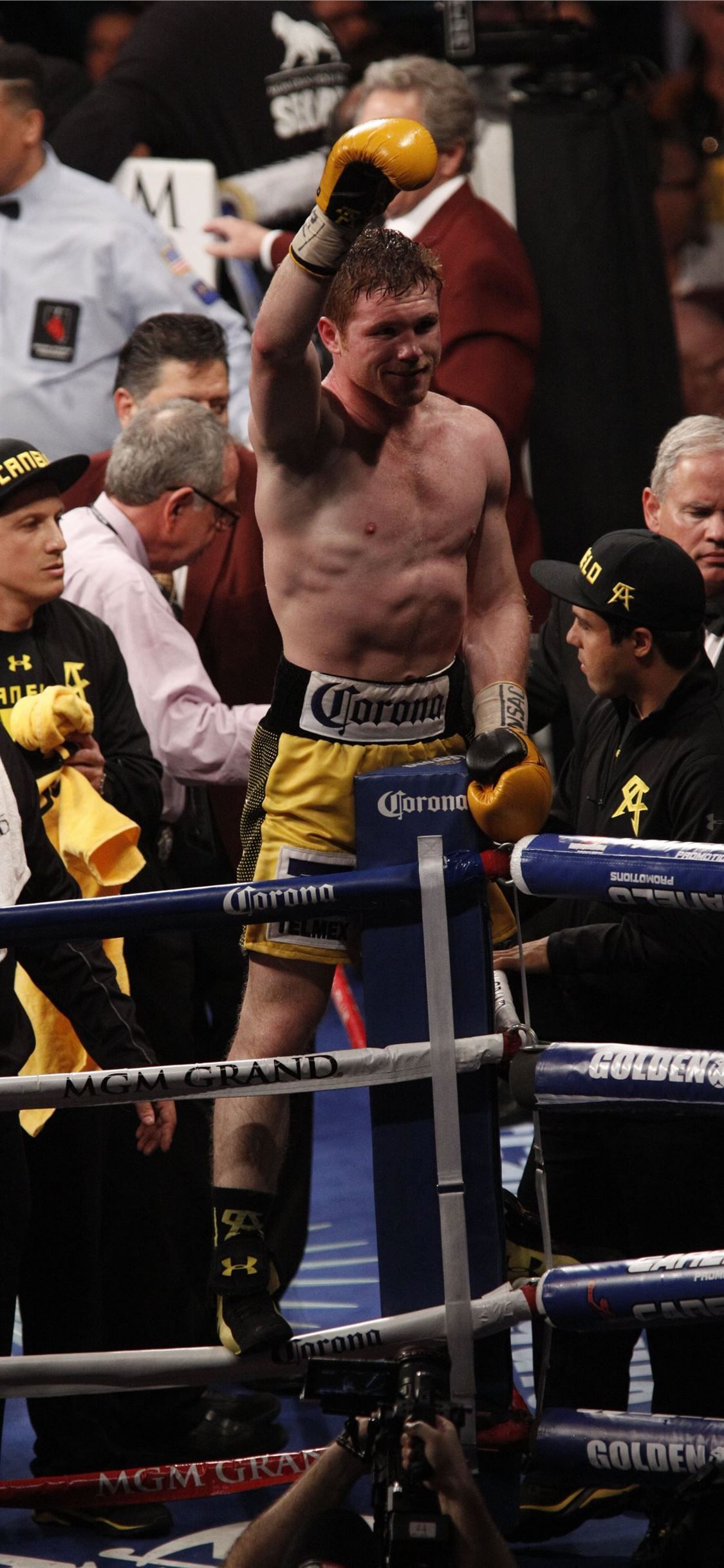 Canelo vs Angulo iPhone X Wallpaper