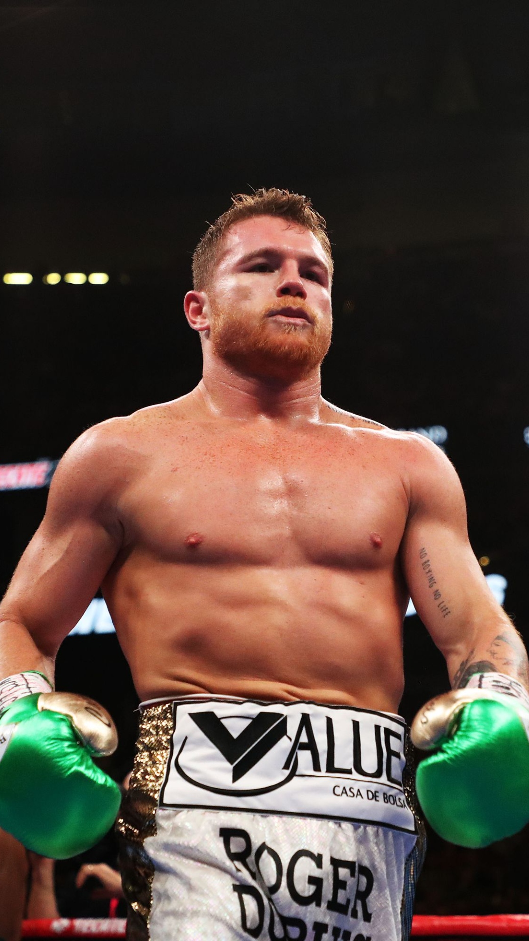 Canelo Álvarez Wallpaper
