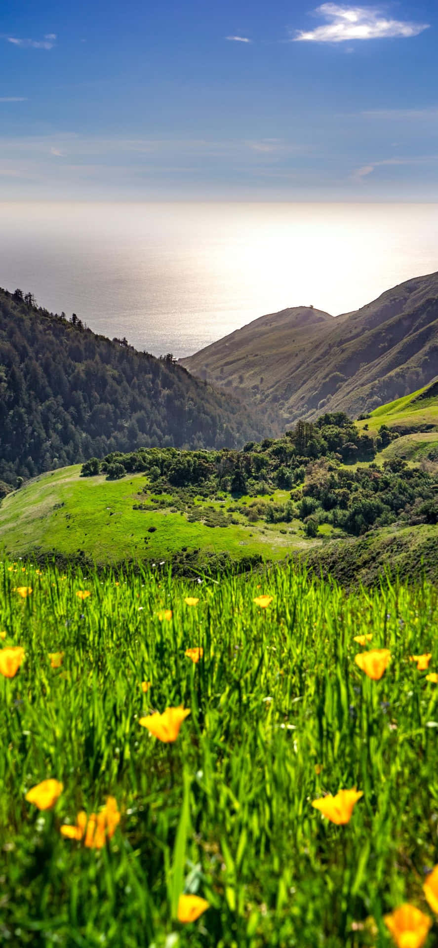 Apple iPhone Xs California