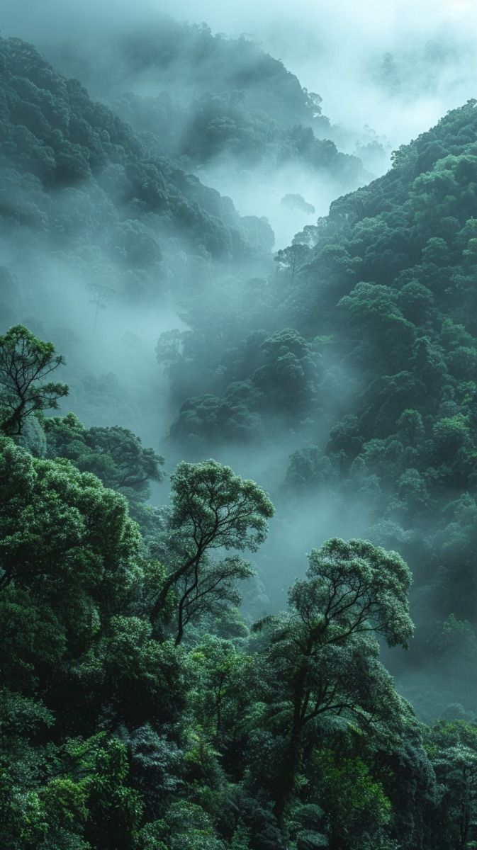 Breathtaking Nature Phone Wallpaper