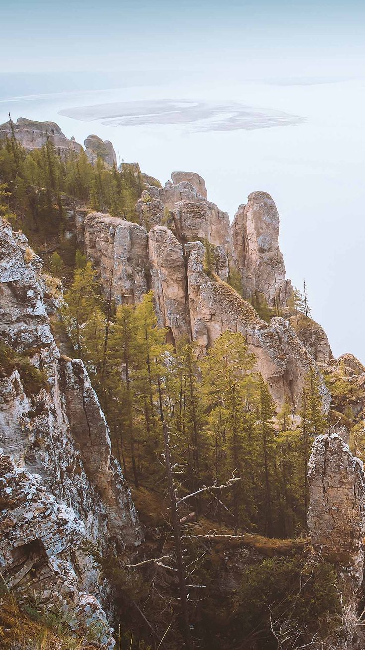 Best Nature iPhone XS Wallpaper