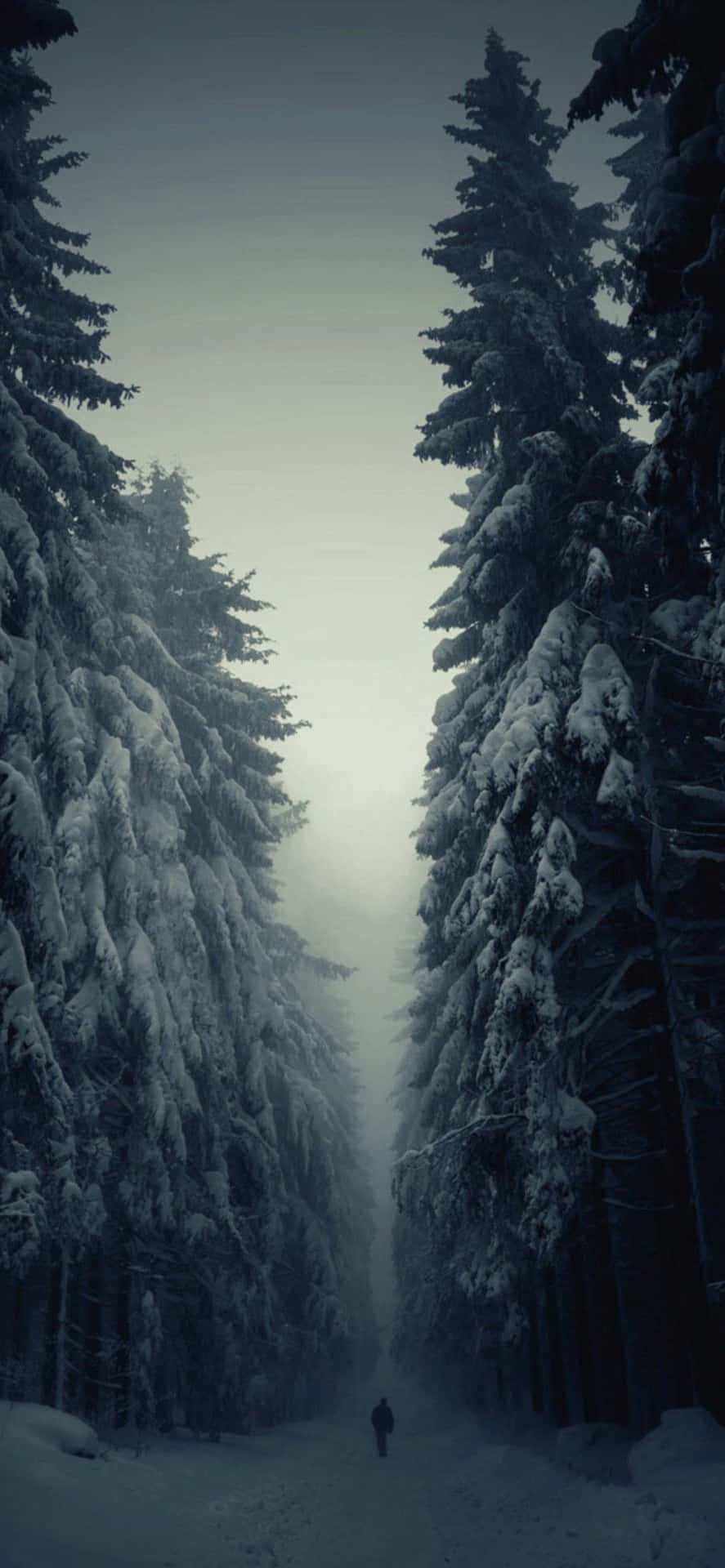 iPhone XS Max Winter Background