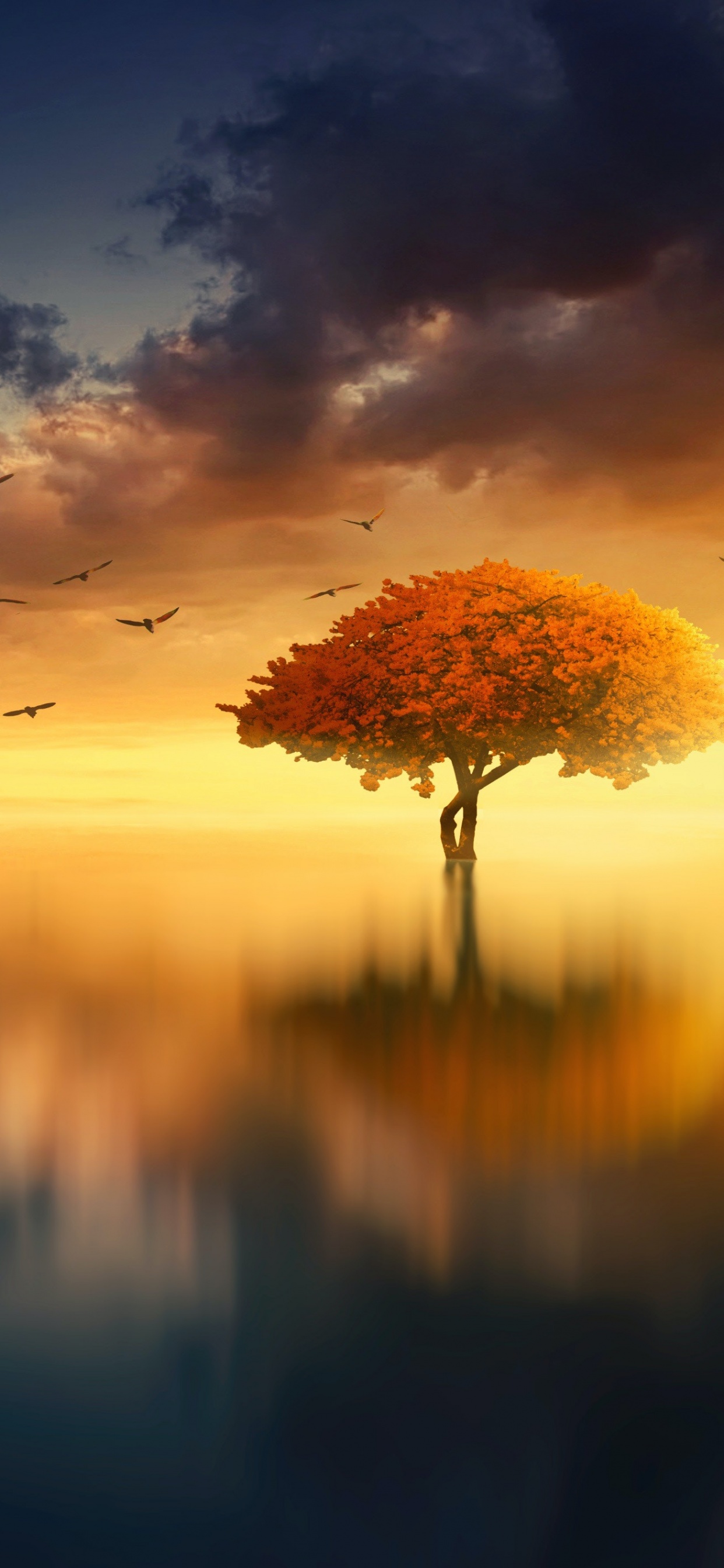 Tree Wallpaper 4K, Sunrise, Birds