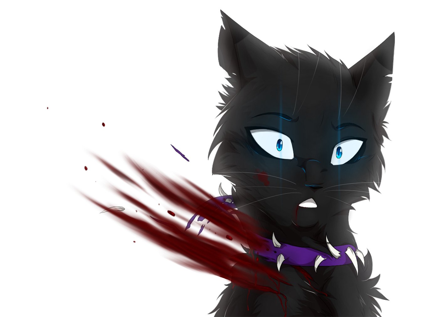 Cat Fantasy Animal Wallpaper