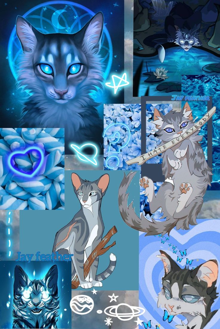 Jay feather