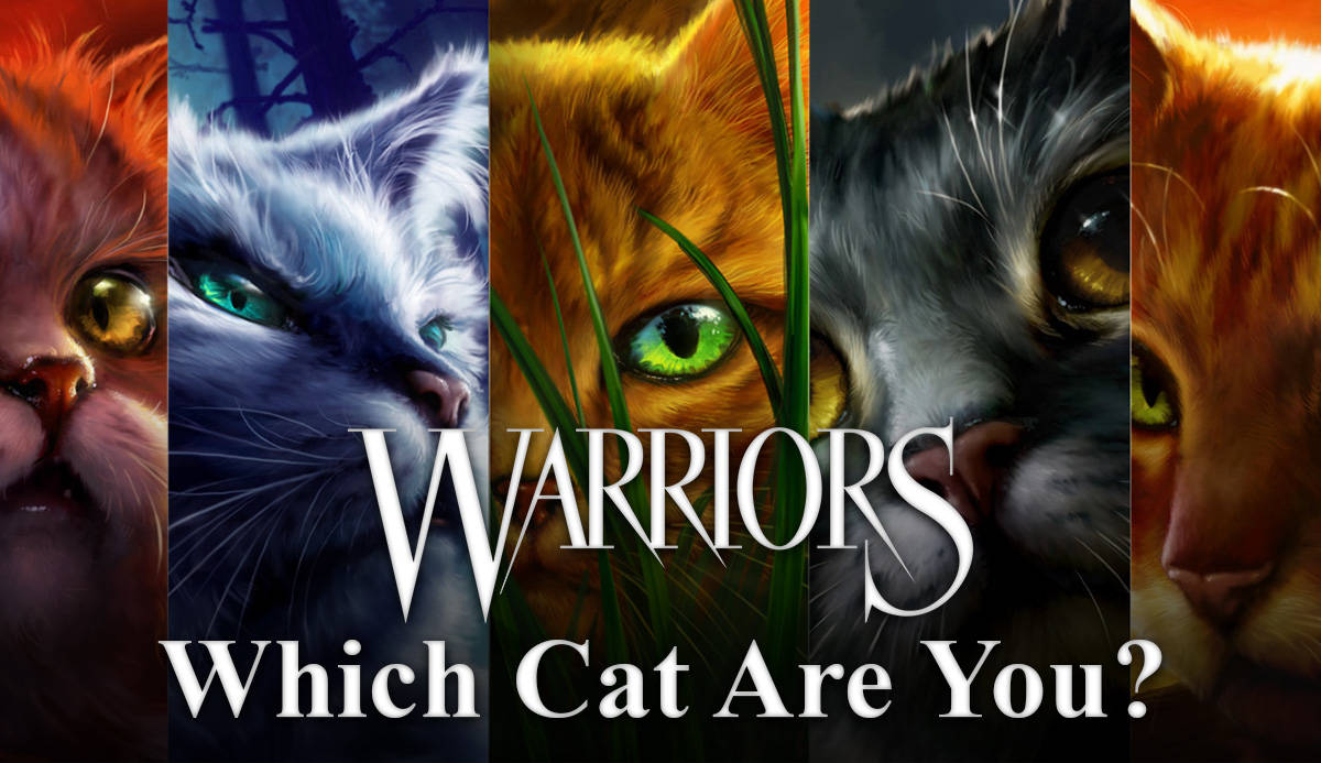 Warrior Cats HD Wallpaper