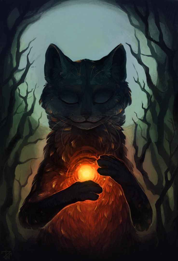 by deathnear