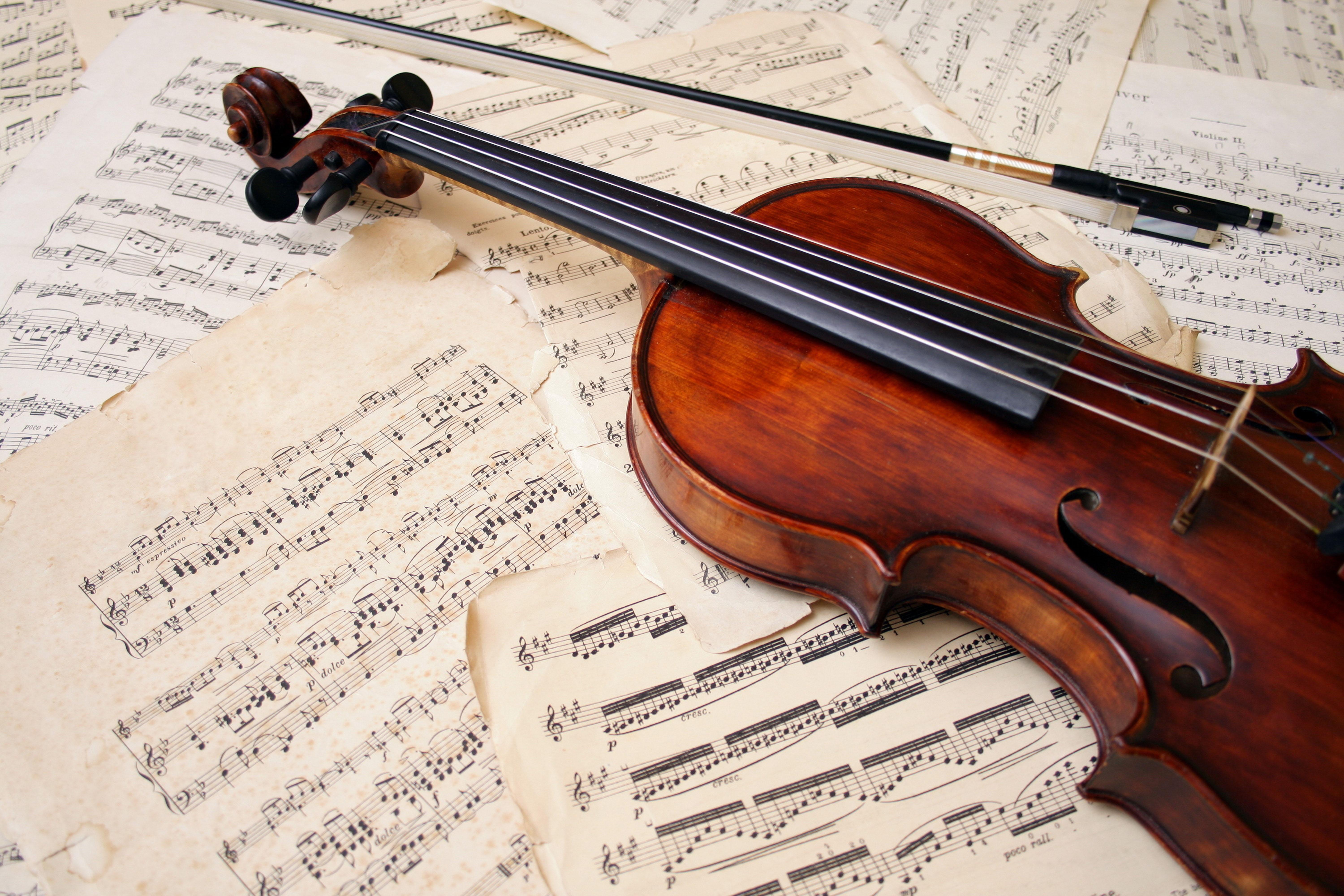 Wallpaper notes, violin, leaves, bow
