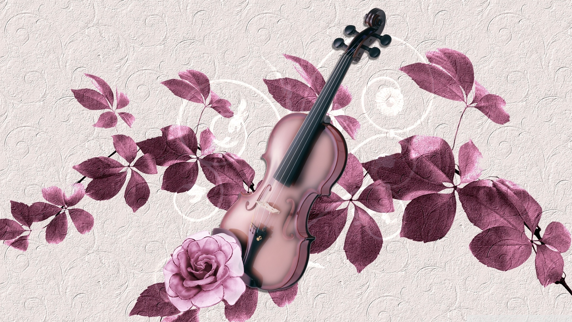 Violin HD Wallpaper