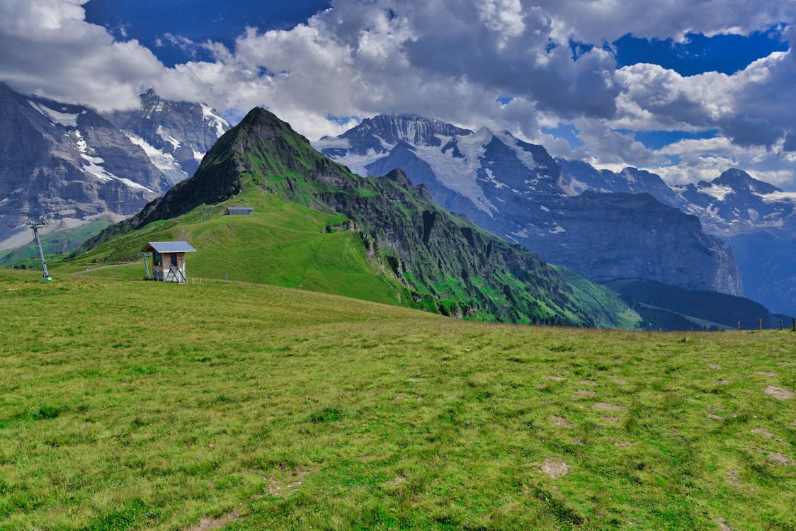 Swiss Alps in Summer · Free