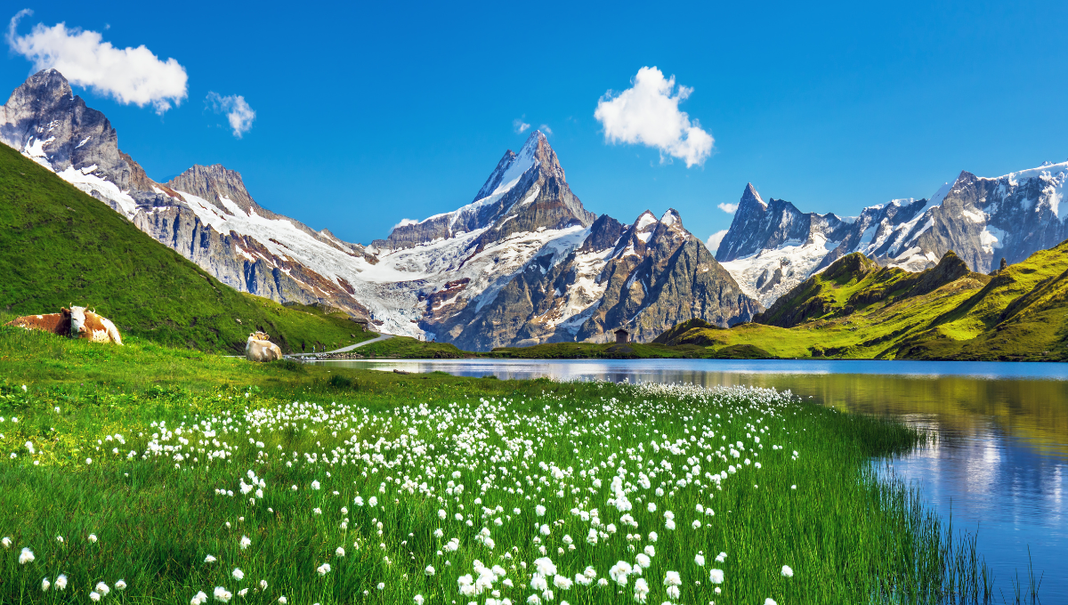 Beautiful Swiss Alps and Stunning