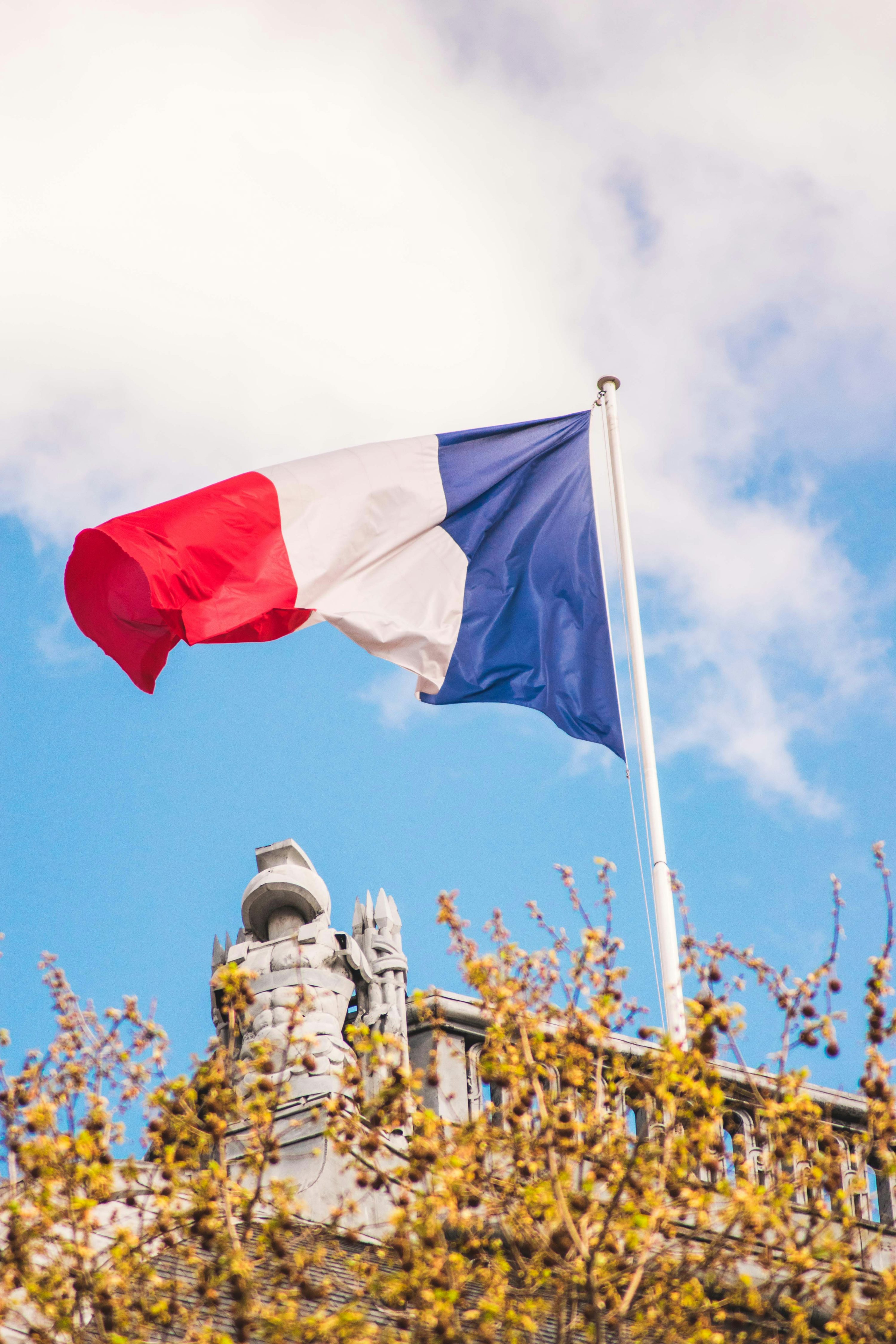 Download Free French Flag Picture HD
