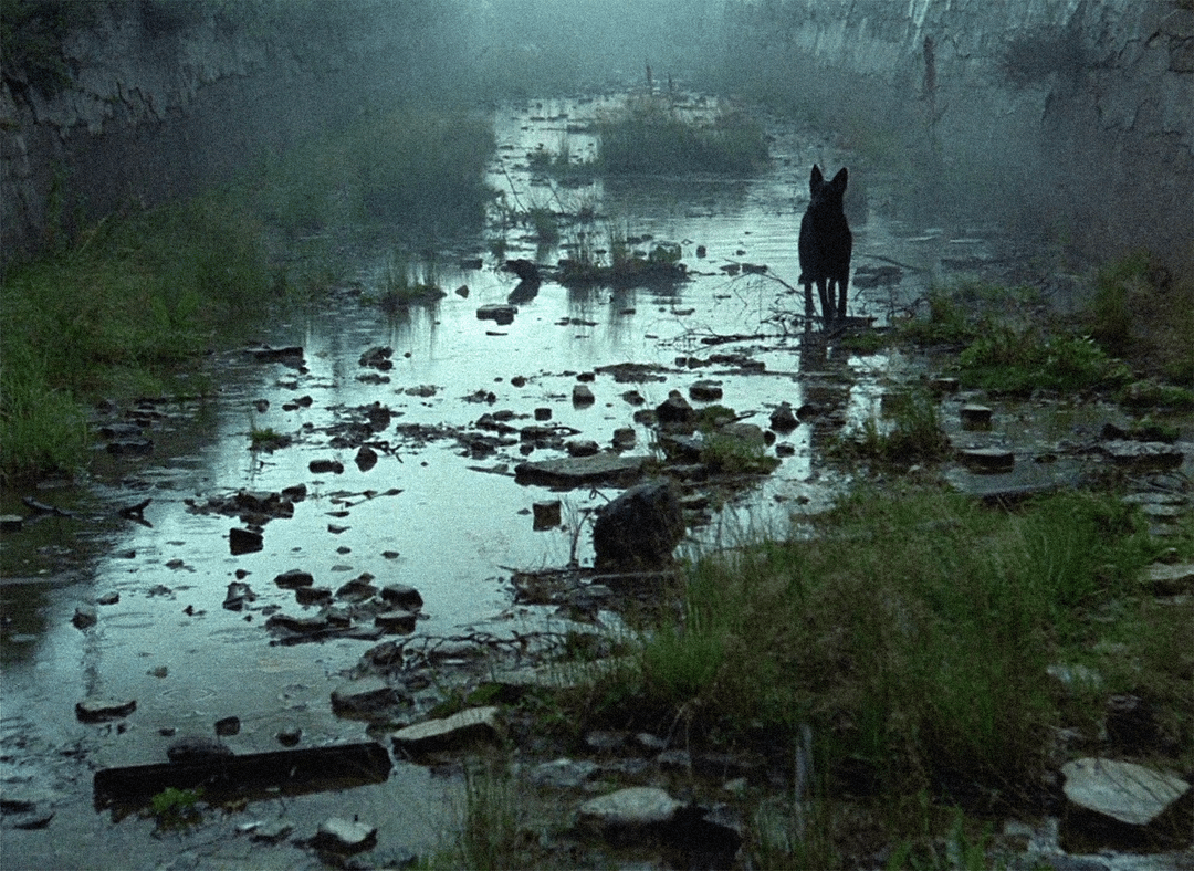 Took some screenshots of stalker to use