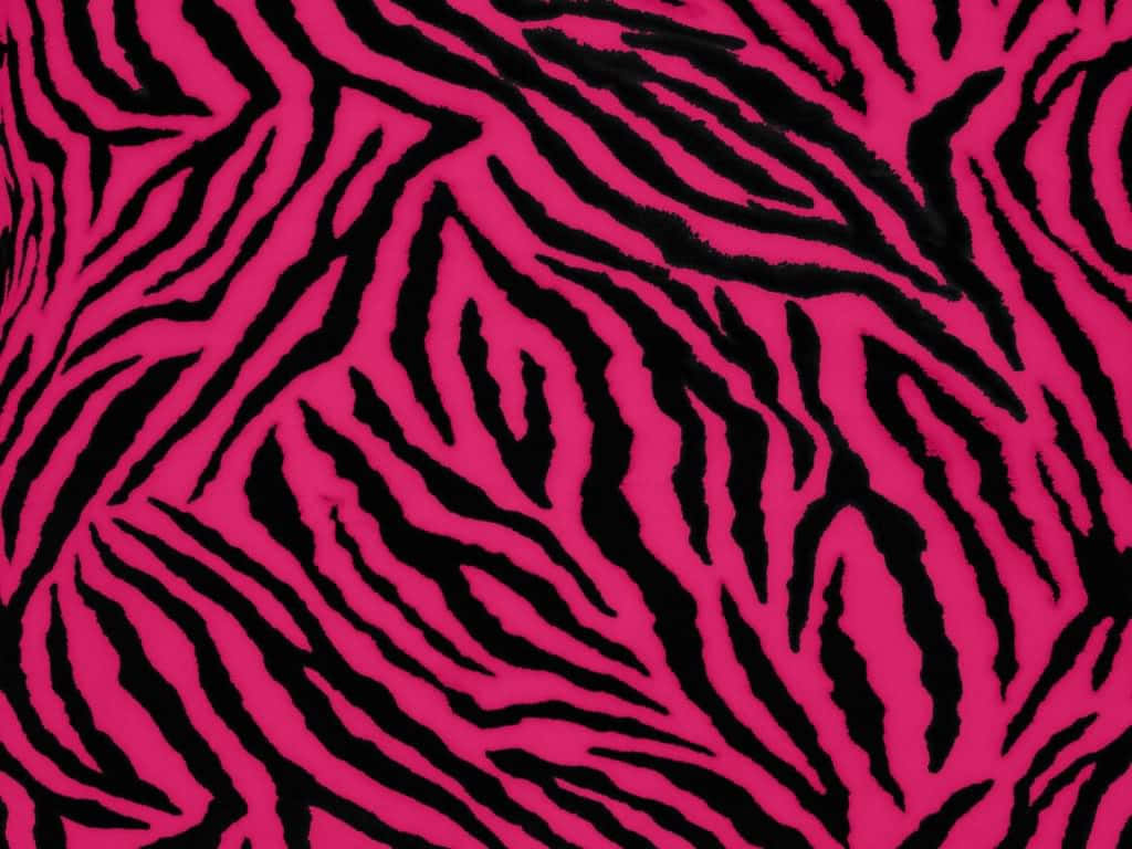 Pink Zebra Wallpaper