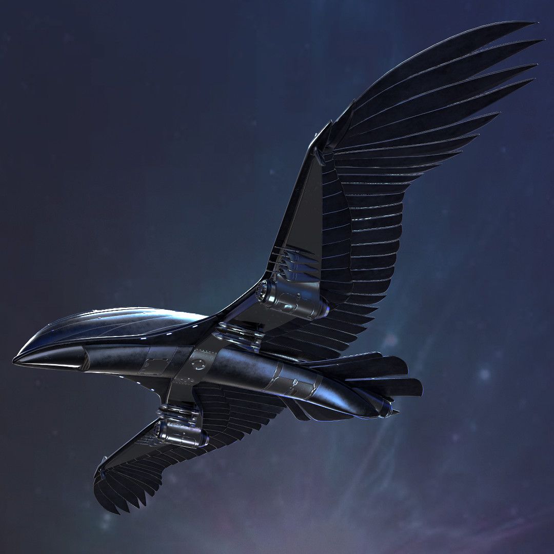 BlackBird Ornithopter, Mike Morrow