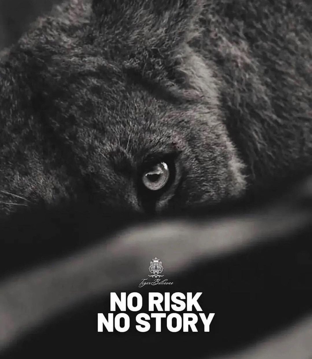 no-risk-no-story-wallpapers-wallpaper-cave