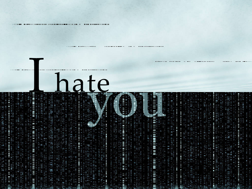 I Hate You Picture
