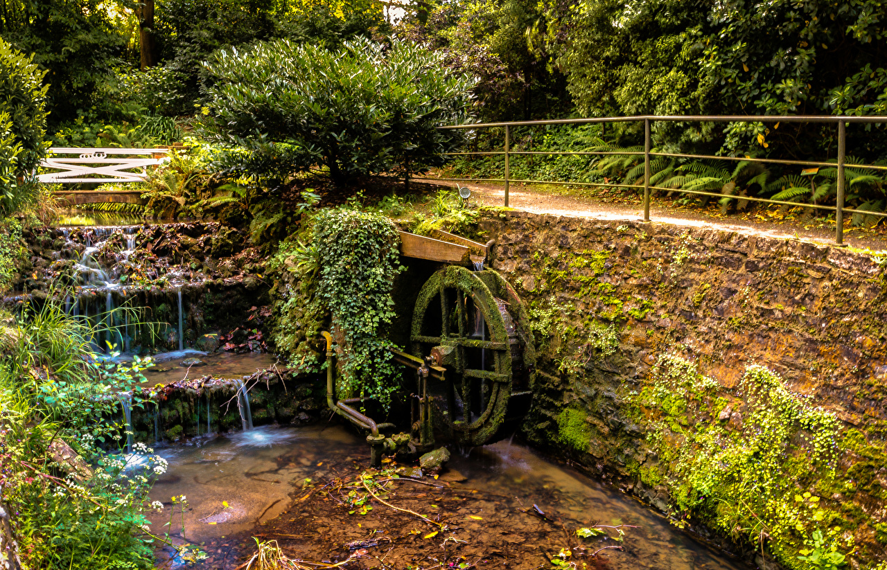Picture Spain Gijon Asturias Nature