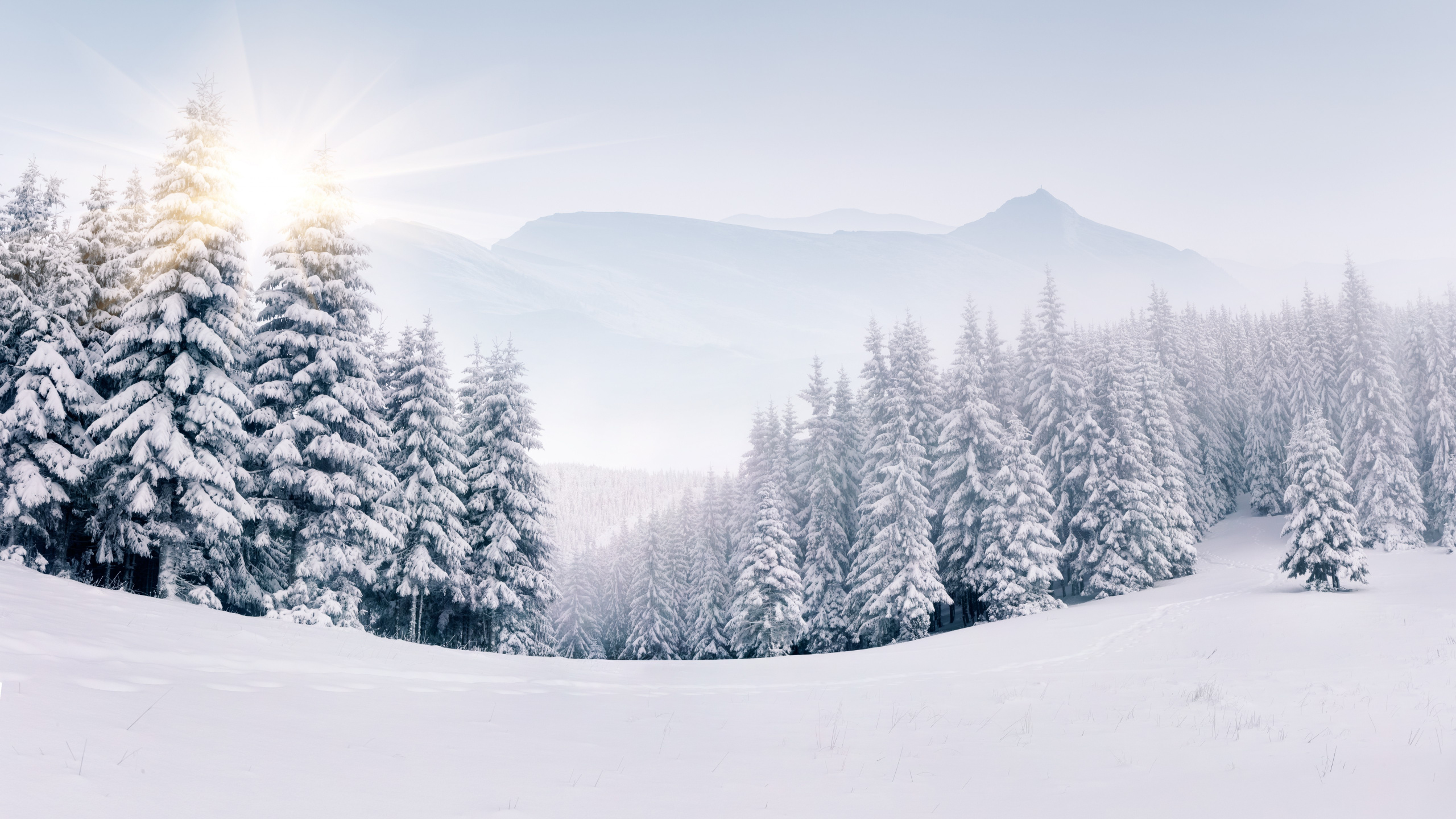 WQHD, QHD, 16:9 Winter Wallpaper