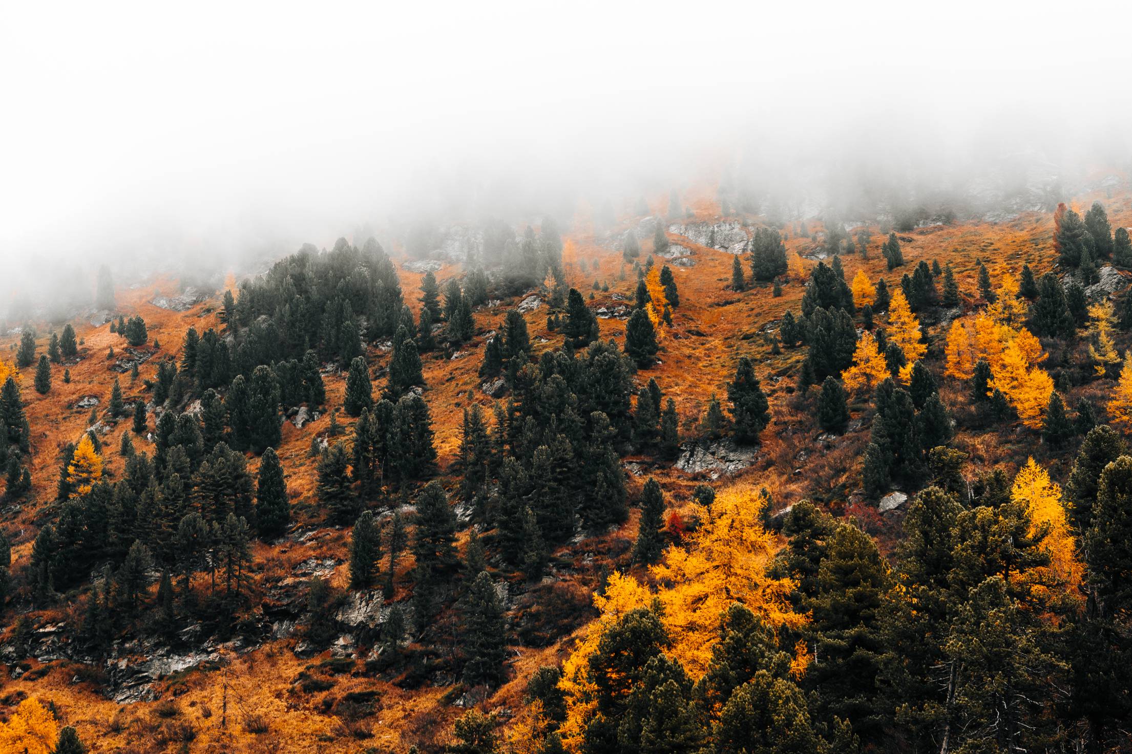 Mountain Hidden in a Fog, Autumn