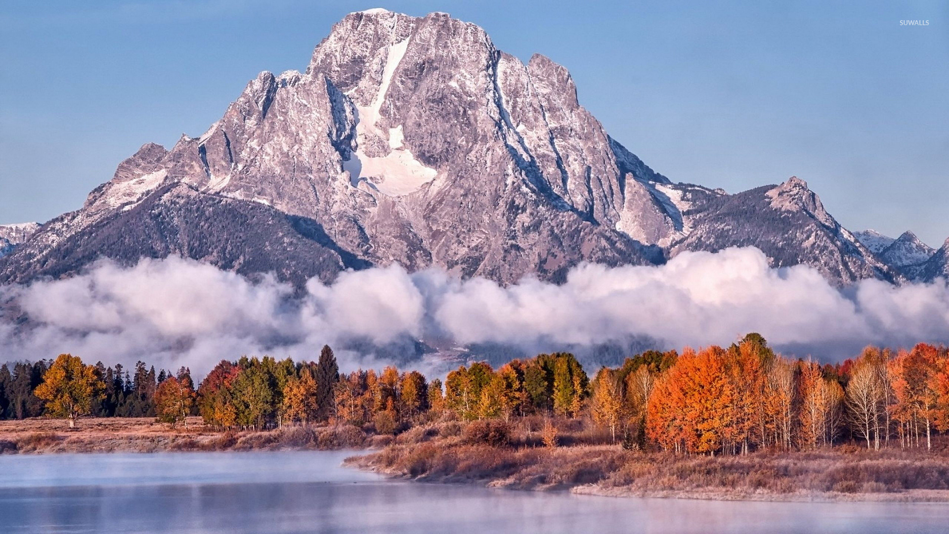 Foggy autumn forest [5] wallpaper