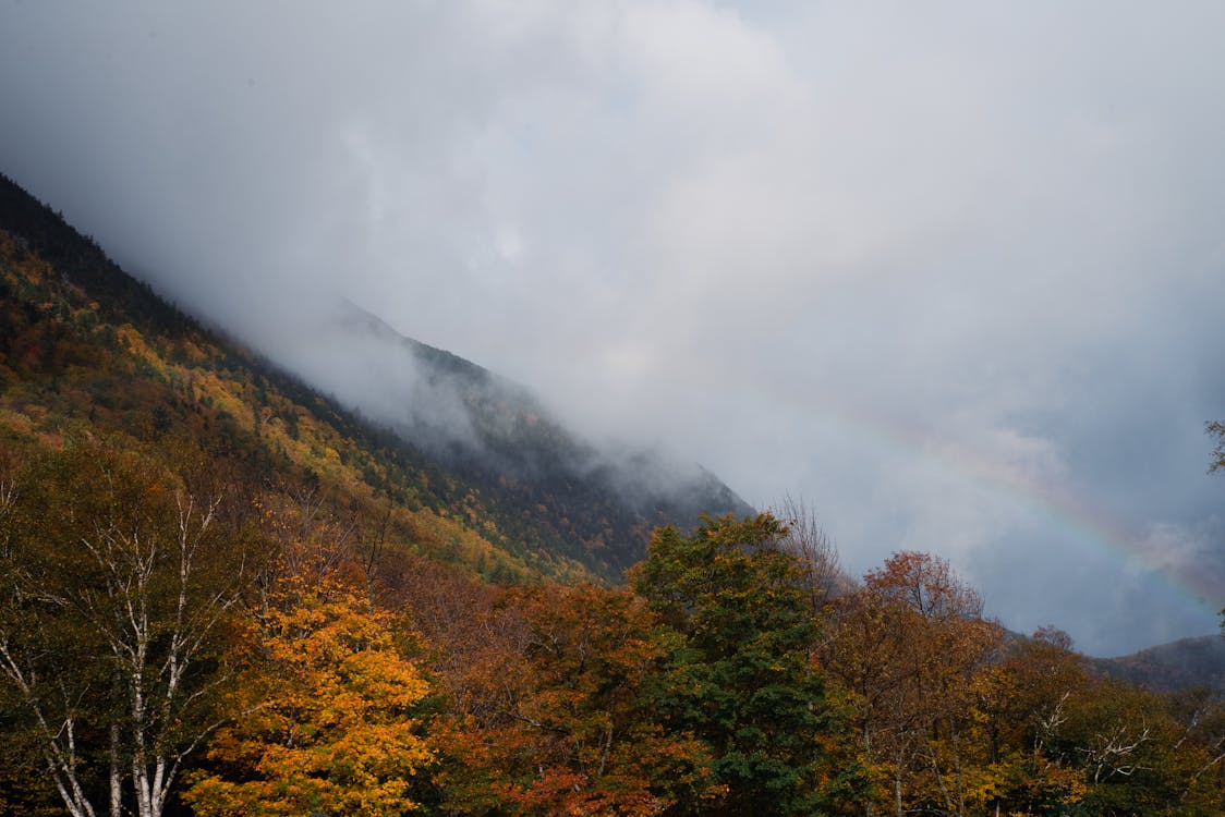 Mountains in Autumn Fog · Free