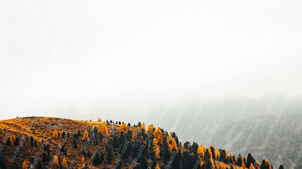 Autumn yellow trees misty mountains